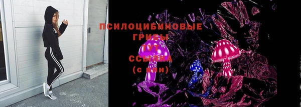 винт Верея