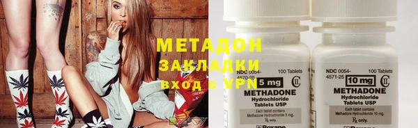 PSILOCYBIN Бородино