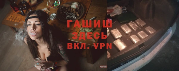 МДПВ Снежногорск