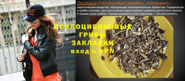 винт Верея