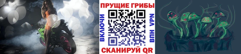 Галлюциногенные грибы мицелий  Новосокольники 